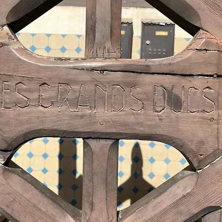 Les Grands Ducs Διαμέρισμα