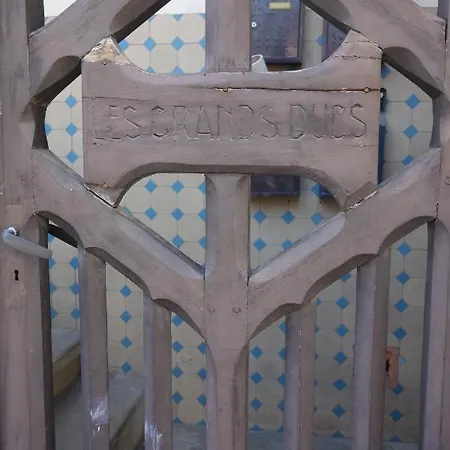 Daire Les Grands Ducs